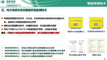 泛在電力物聯(lián)網(wǎng)下智能傳感與人工智能技術(shù)研究及應(yīng)用——以許繼集團(tuán)翟登輝會(huì)議報(bào)告為核心
